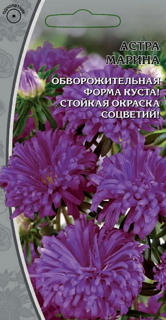Астра обильноцветущая Марина 0,2 гр