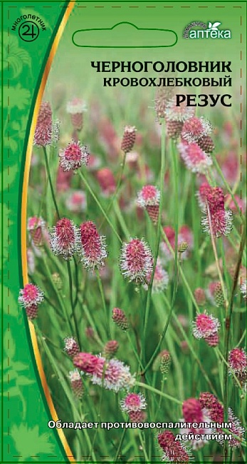 Черноголовник кровохлебковый Резус 0,2 гр