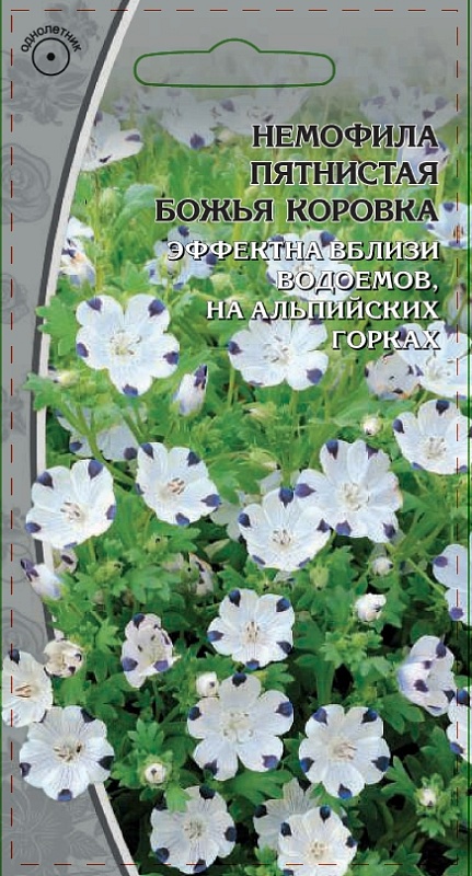 Немофила пятнистая Божья коровка  0,2 гр