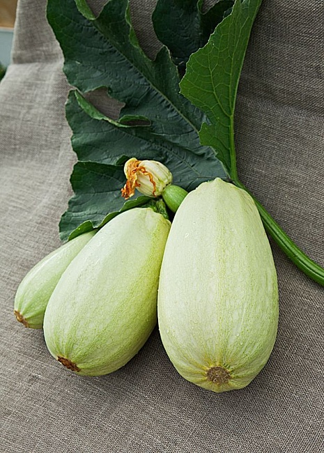 Кабачок Ролик 1 гр  б.п