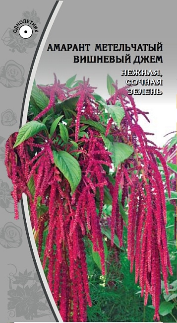 Амарант метельчатый Вишневый джем  0,1 гр