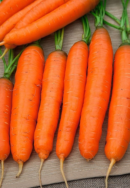 Морковь Детская сладость 2 гр б.п.