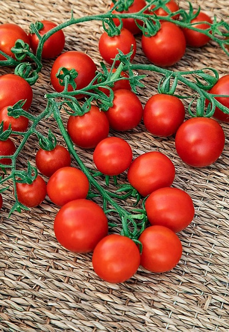 Томат черри Вишня красная 0,03 гр цв.п