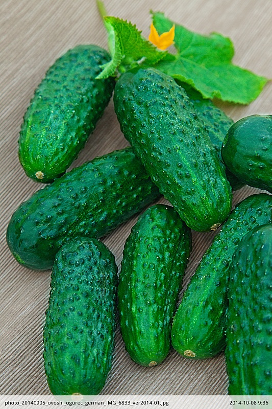 Огурец Герман F1 цв.п 8 шт