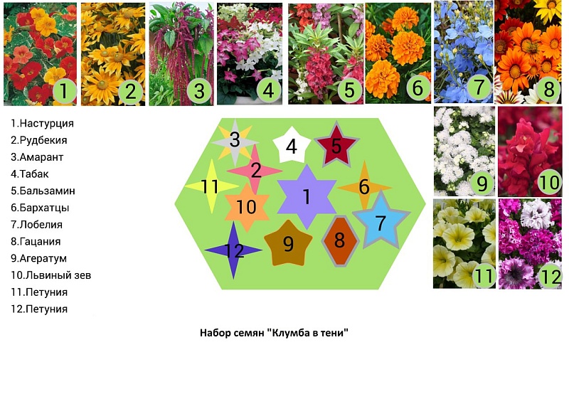 Набор Клумба в тени 15 пакетов