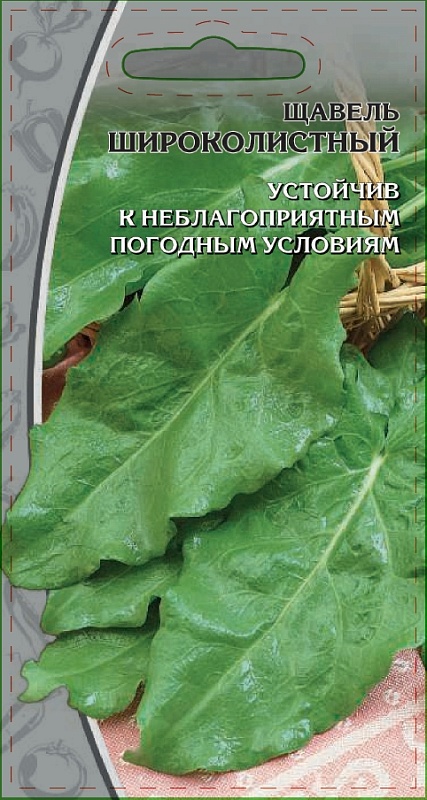 Щавель Широколистный 1 гр цв.п