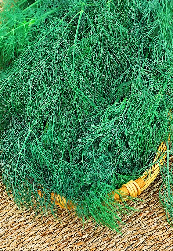 Укроп Филигрань (Селекция "ВХ") 2 гр. б.п.