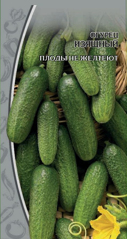Огурец Изящный 0,25 гр цв.п.