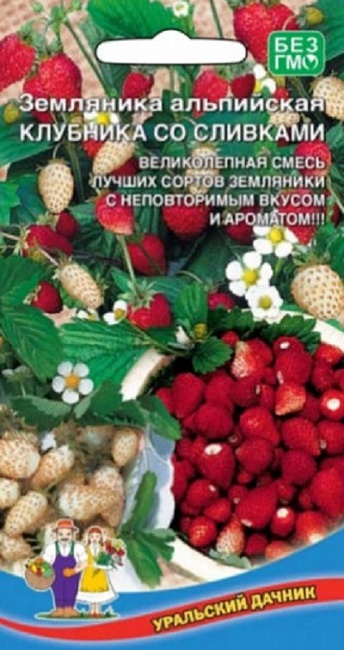 Земляника альпийская Клубника со сливками (УД) 0,05 гр цв. п.