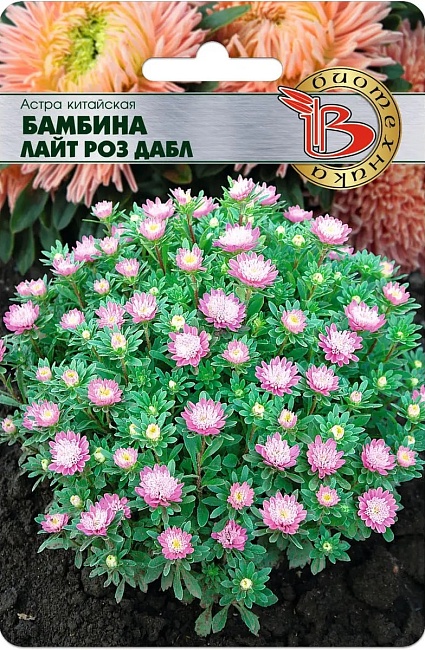 Астра Бамбина Лайт Роз Дабл 20 шт