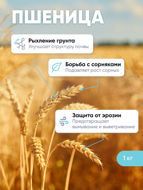 Пшеница 1 кг