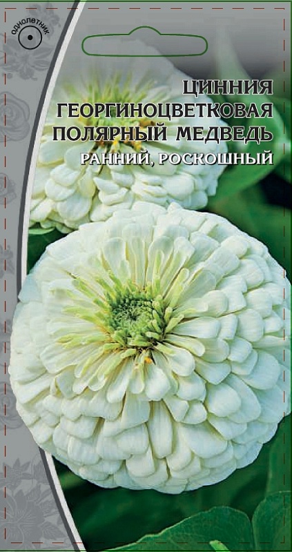Цинния георгиноцветковая Полярный медведь 0,5 гр