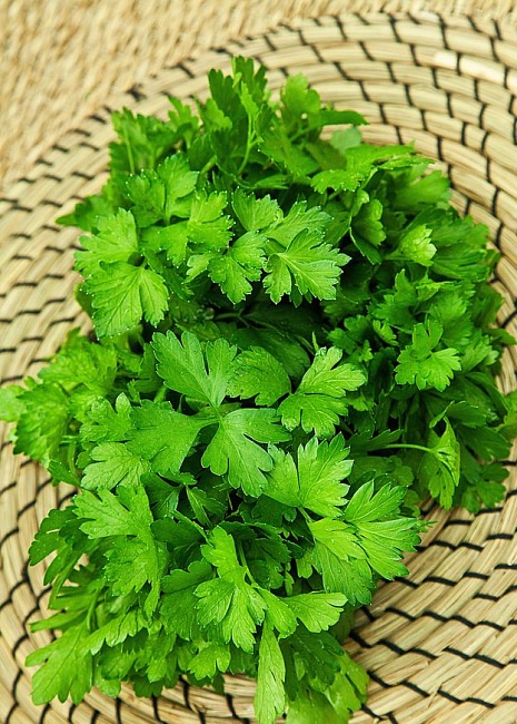 Петрушка листовая Богатырь 3 гр цв.п.