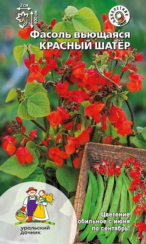 Фасоль Красный Шатер - вьющаяся (УД) 10 шт цв п