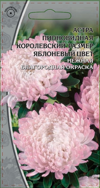 Астра пионовидная Королевский размер яблоневый цвет 0,2 гр