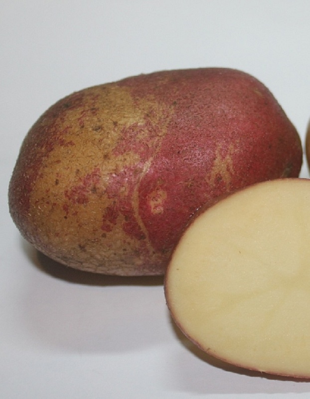 Картофель Изюминка, суперэлита 1 кг