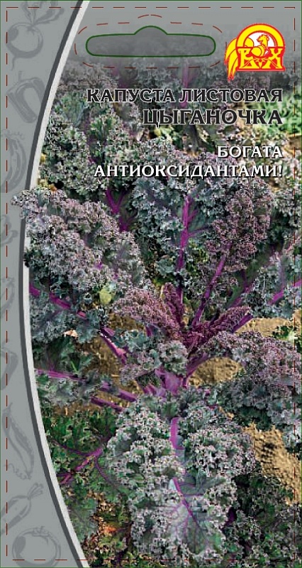 Капуста листовая Цыганочка (Селекция "ВХ") 0,3 гр цв.п.