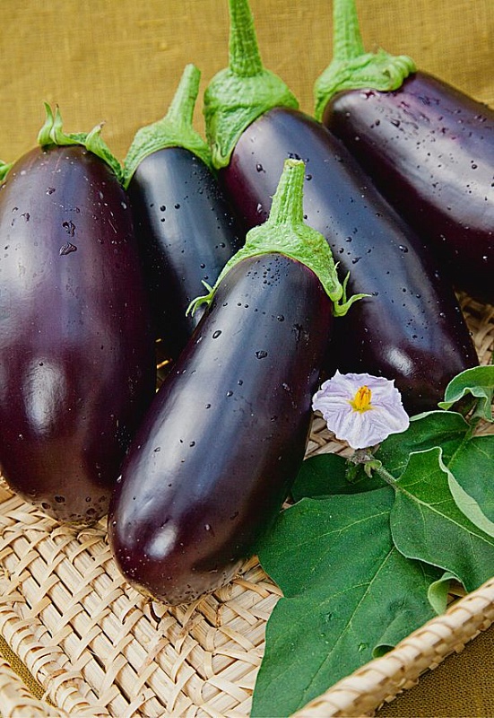 Баклажан Фиолетовое чудо 0,1 гр цв.п.