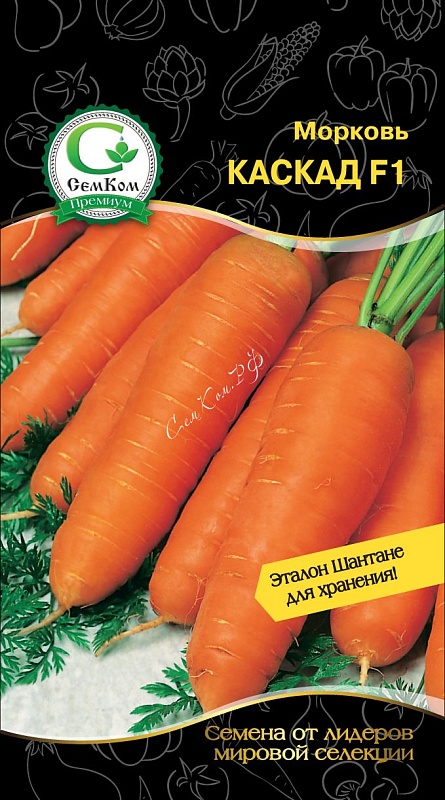Морковь Каскад F1 (Bejo Zaden) 0,5 г цв.п.