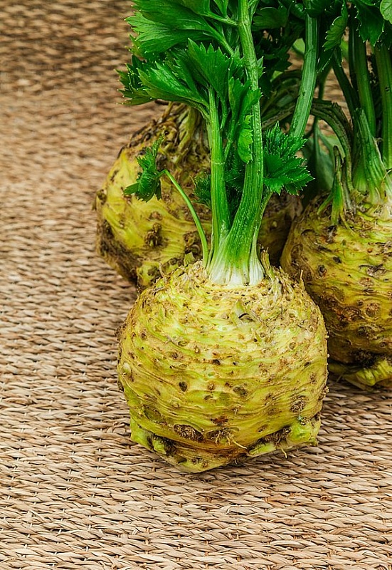 Сельдерей корневой Силач 0,5 гр цв.п