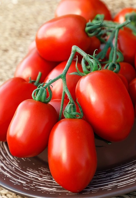 Томат Новичок 0,1 гр цв.п.