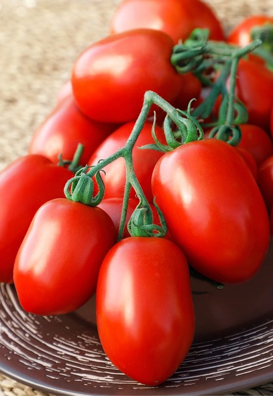 Томат Новичок 0,1 гр цв.п.