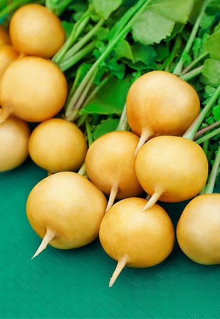 Редис Меркадо 3 гр цв.п.