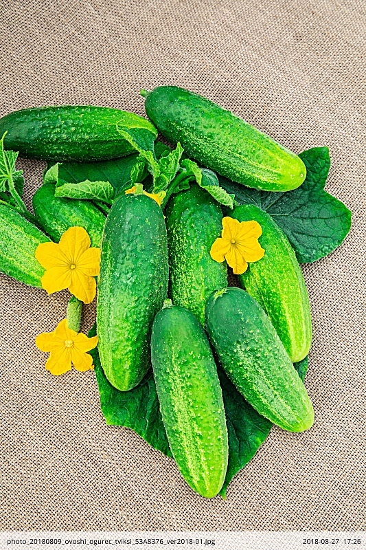 Огурец Твикси F1 цв.п. 0,25гр