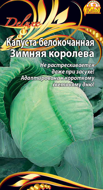 Капуста белокочанная Зимняя королева (Селекция "ВХ") 0,3 гр цв.п.