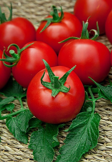 Томат Рубинчик F1 (Селекция "ВХ") 0,03 гр цв.п.