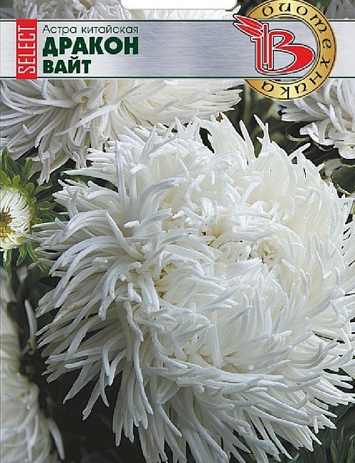 Астра Дракон селект Вайт 30 шт