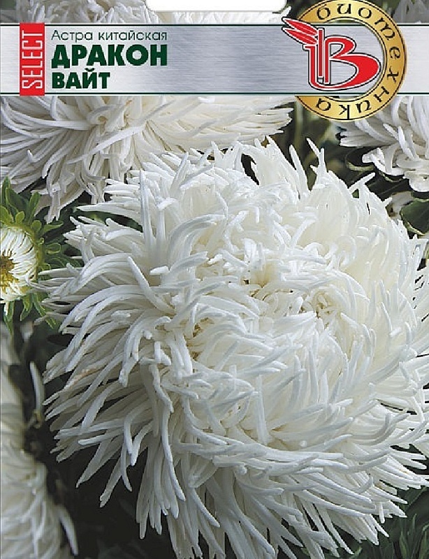 Астра Дракон селект Вайт 30 шт