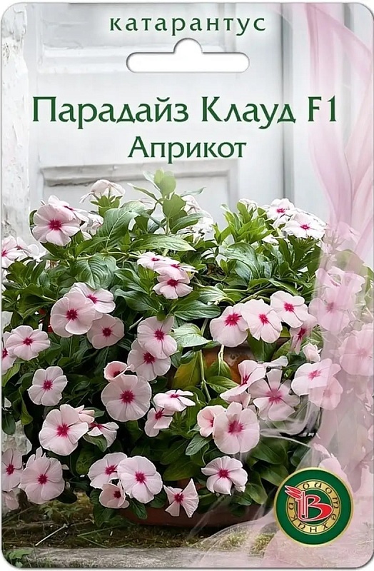Катарантус Парадайз Клауд F1 Априкот 5 шт