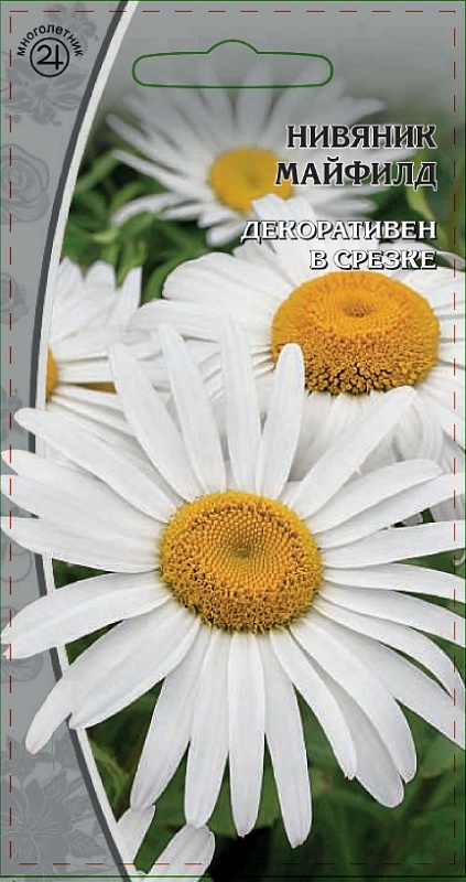 Нивяник Майфилд  0,3 гр