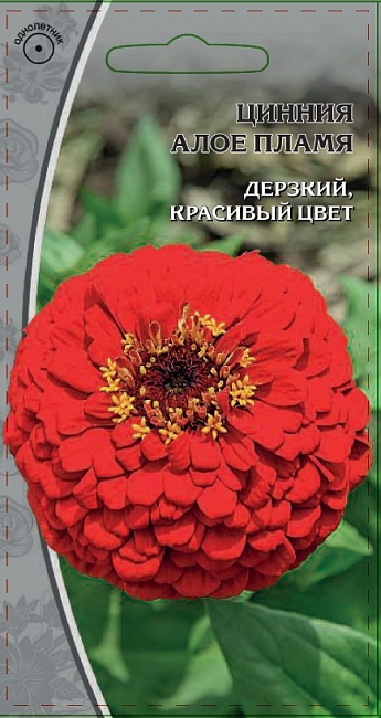Цинния Алое пламя 0,5 гр