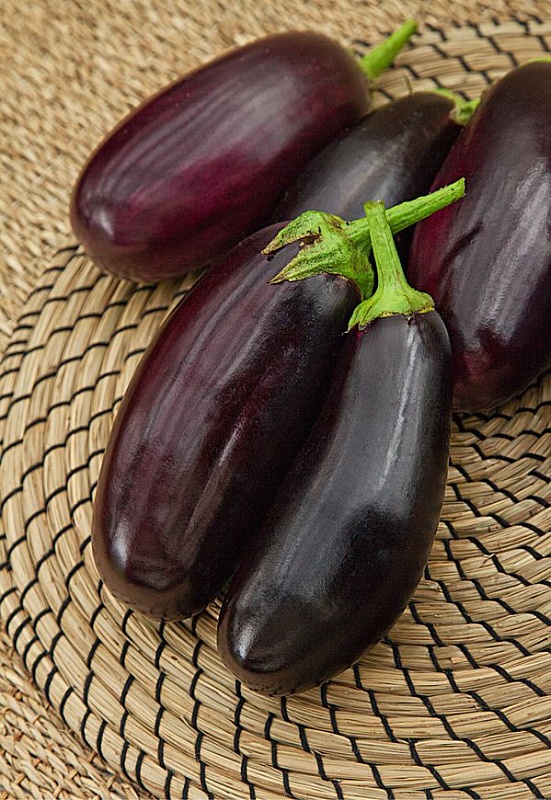 Баклажан Фрегат 0,1 гр цв.п.