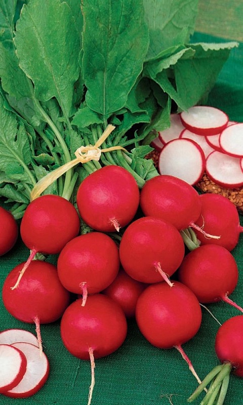 Редис Краса Алтая (УД) 2 гр цв.п.