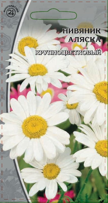 Нивяник Аляска  0,3 гр