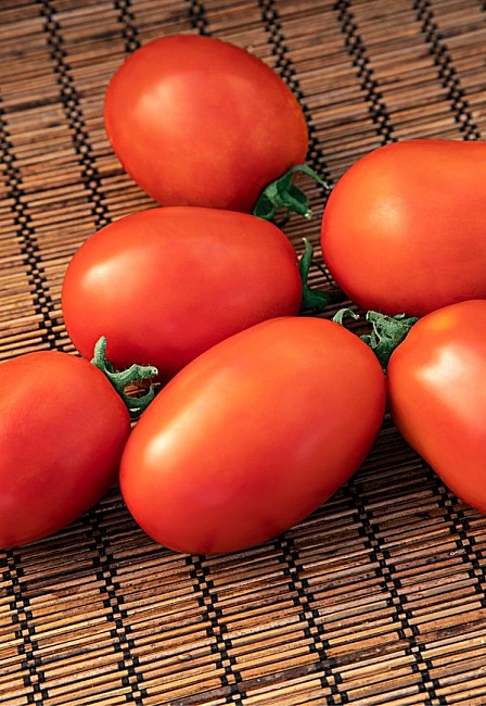 Томат Канопус 0,05 гр цв.п (Сибирская серия)