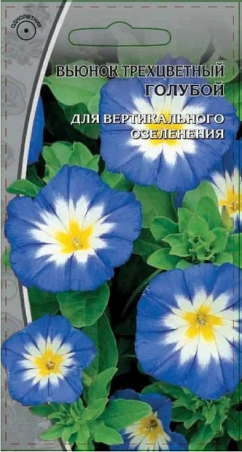 Вьюнок трехцветный  голубой  0,5 гр