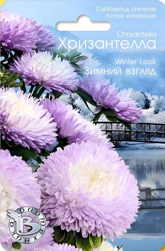Астра Хризантелла Зимний взгляд 30 шт