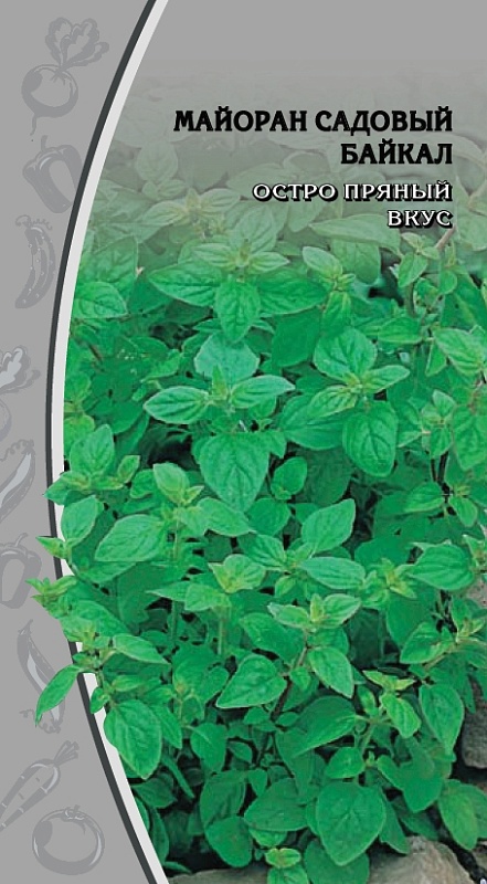Майоран садовый Байкал  0,2 гр цв.п.