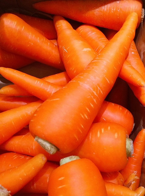 Морковь Мармелад F1 (УД) 1 гр цв.п.