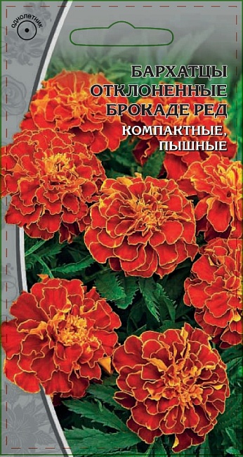 Бархатцы отклоненные Брокад Ред 0,5 гр