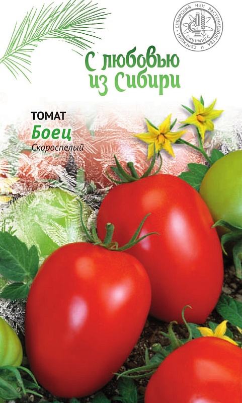 Томат Боец 0,05 г цв.п (Сибирская серия)