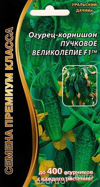 Огурец Пучковое Великолепие F1 (УД) 5 шт цв.п