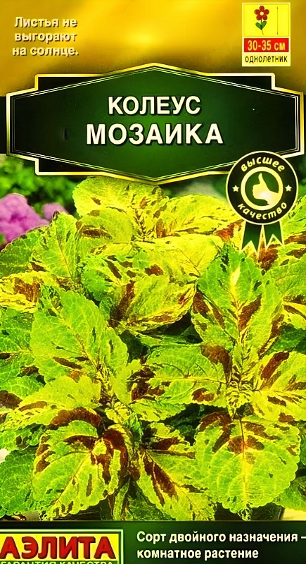 Колеус блюме Мозаика (Аэлита) 5 шт