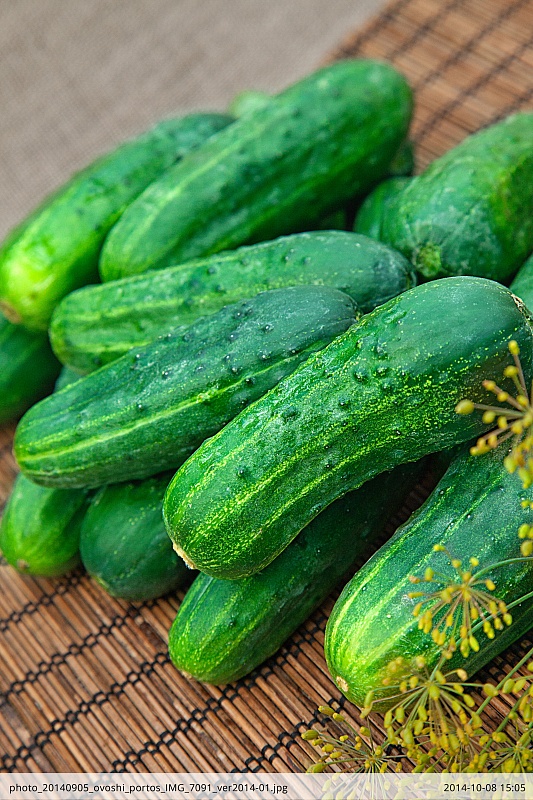 Огурец Портос F1 0,2 гр цв.п