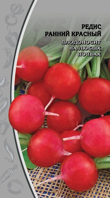 Редис Ранний красный  3 гр цв.п.