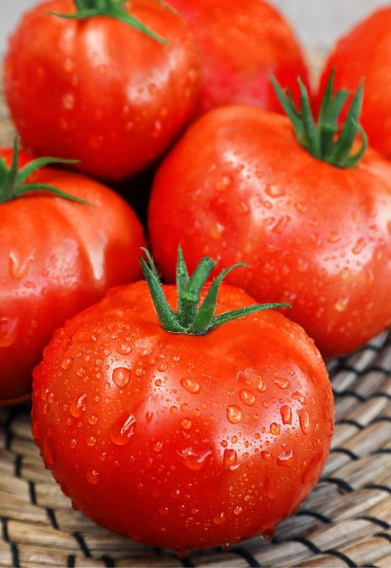 Томат Герцог (Селекция "ВХ") F1 0,05 гр цв.п